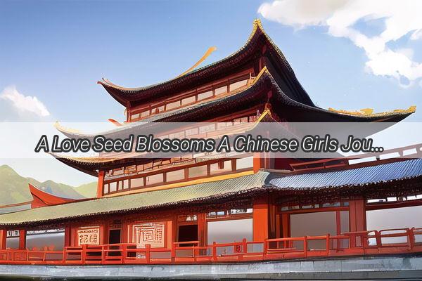 A Love Seed Blossoms A Chinese Girls Journey with an International Heart